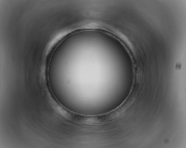 X0000101651464200807101220