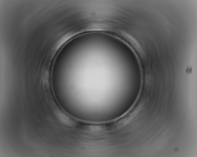 X0000101651465200807101220