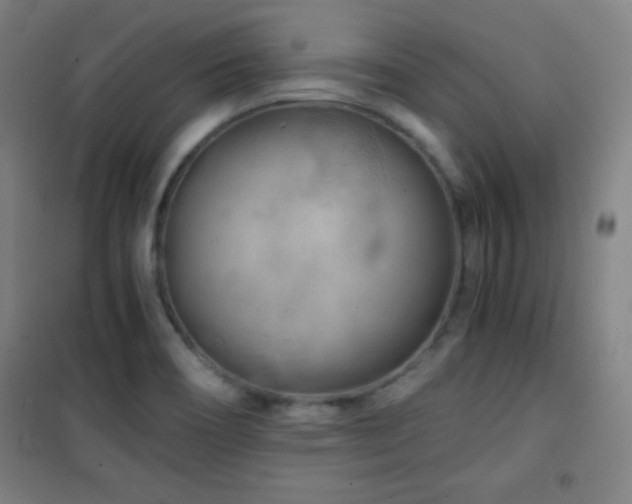 X0000101651466200807101220