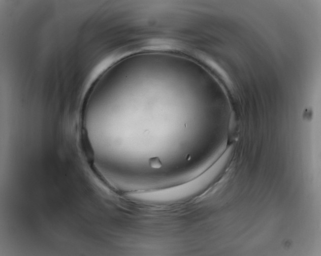 X0000101651467200807101220