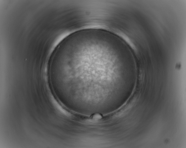 X0000101651468200807101220
