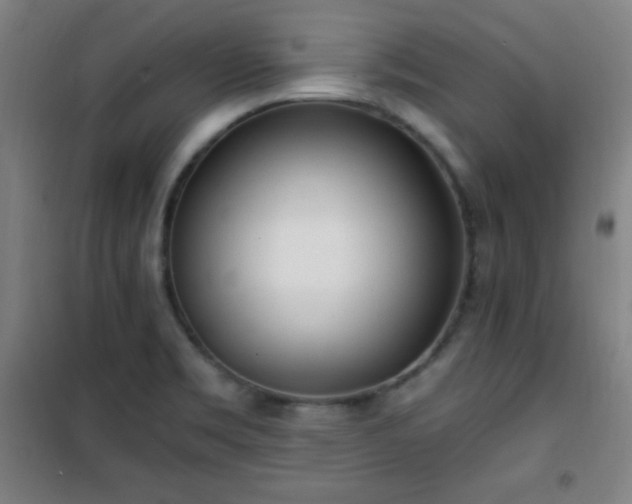 X0000101651469200807101220