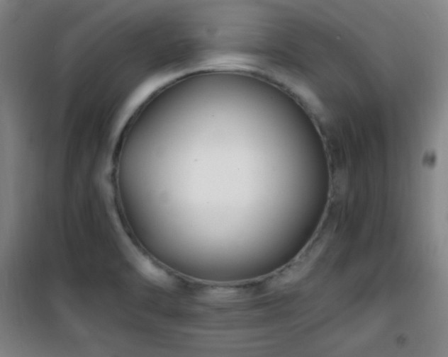 X0000101651470200807101220