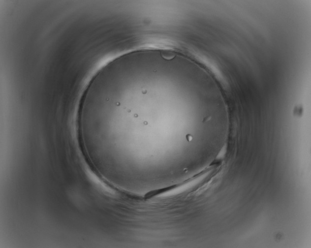 X0000101651471200807101220