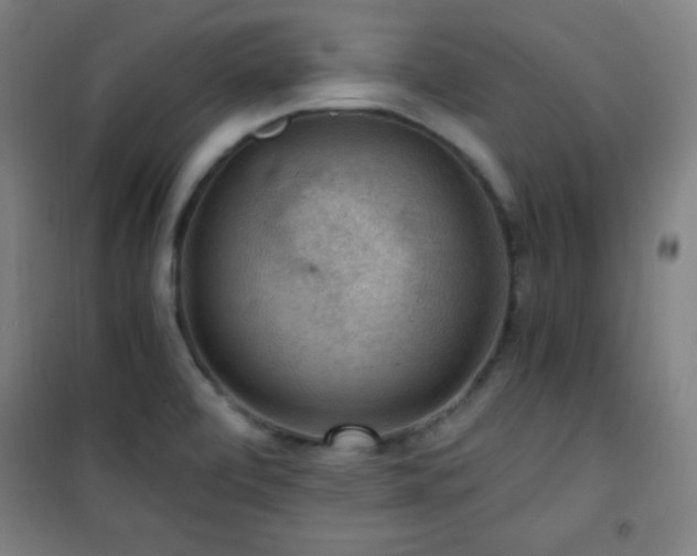 X0000101651472200807101220