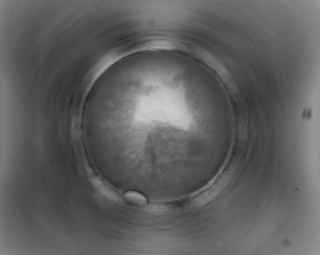 X0000101651473200807101220