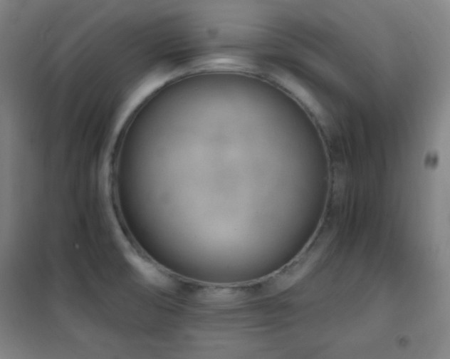 X0000101651474200807101220