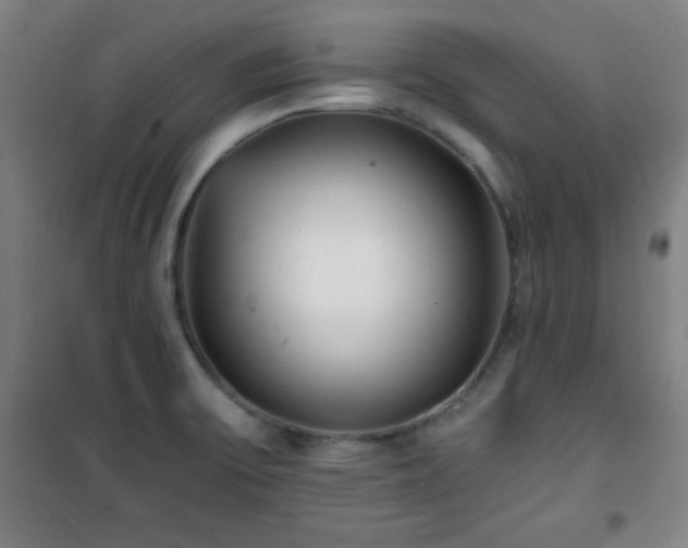 X0000101651475200807101220
