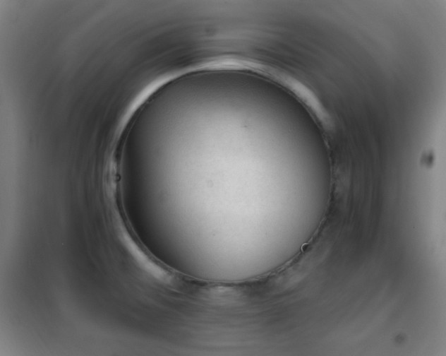 X0000101651476200807101220