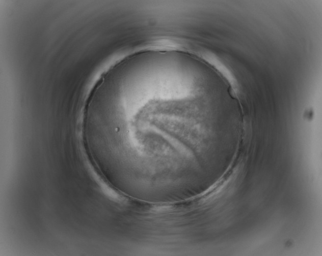 X0000101651477200807101219