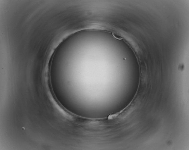 X0000101651479200807101219