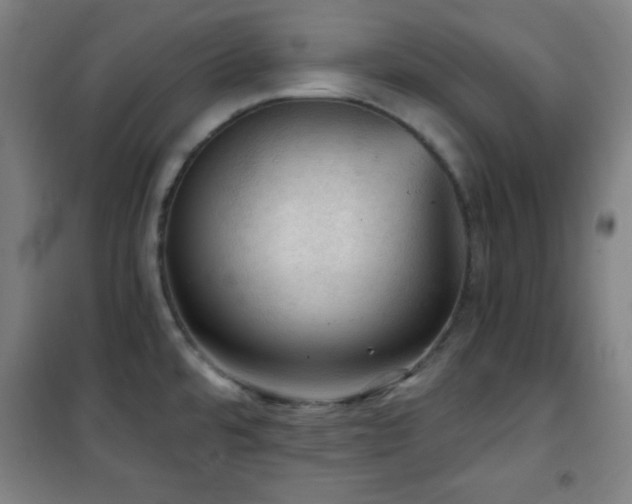 X0000101651480200807101219