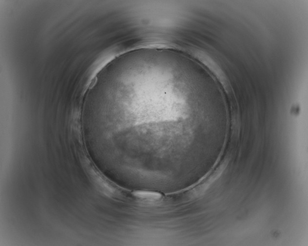 X0000101651481200807101219