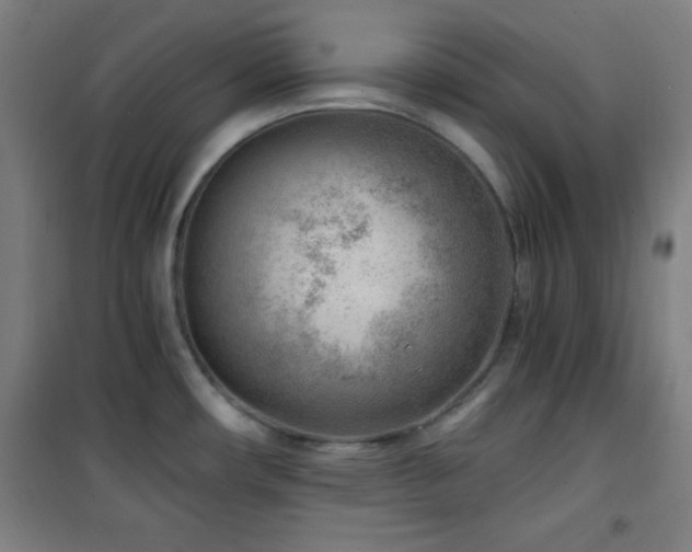 X0000101651482200807101219