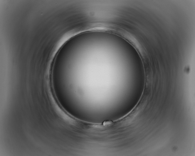 X0000101651483200807101219