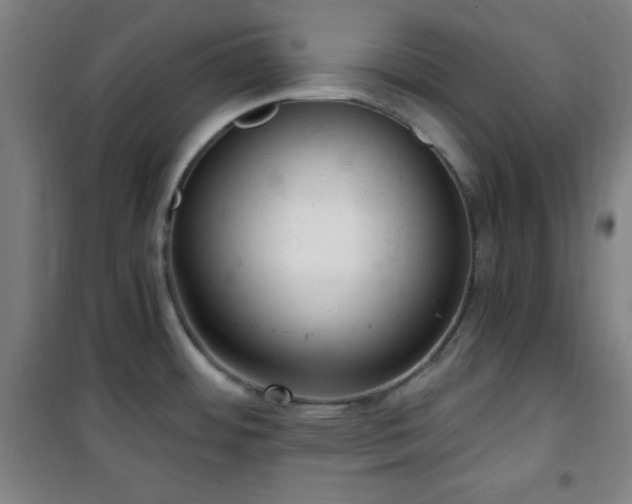 X0000101651484200807101219