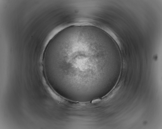 X0000101651485200807101219