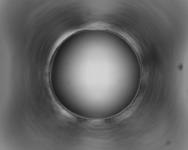 X0000101651486200807101219