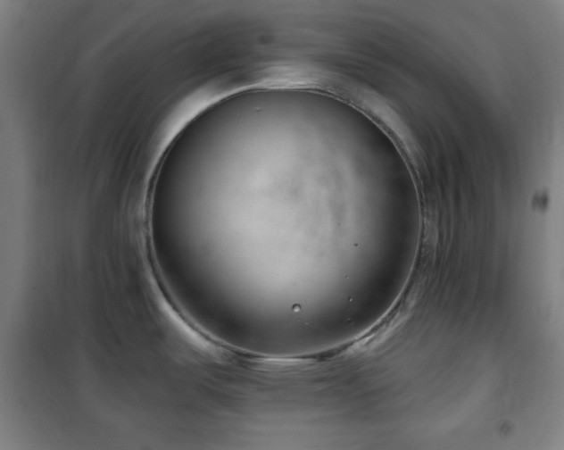 X0000101651487200807101219