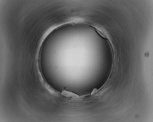 X0000101651488200807101219