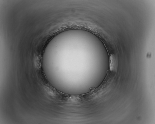 X0000101651491200807101219