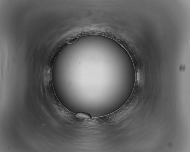 X0000101651492200807101219