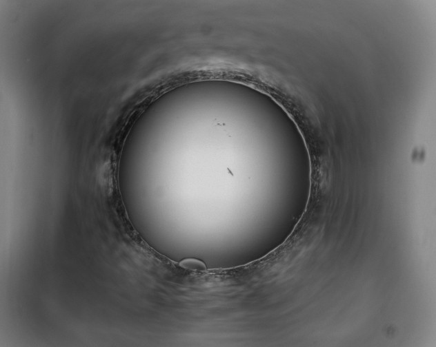 X0000101651493200807101219