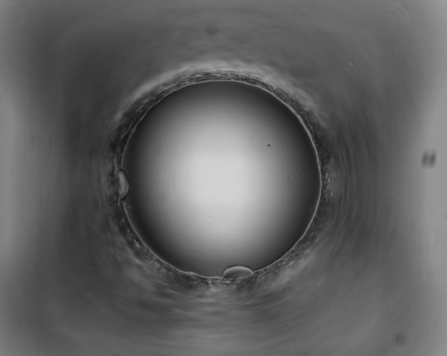 X0000101651494200807101219
