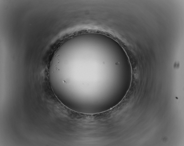 X0000101651495200807101219