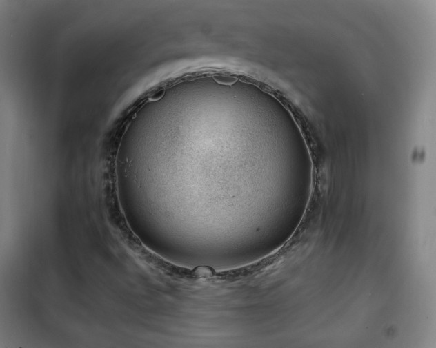 X0000101651496200807101219