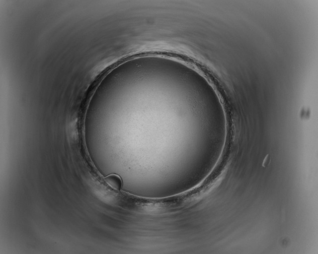 X0000101651497200807101219