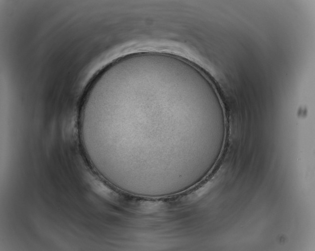X0000101651498200807101219