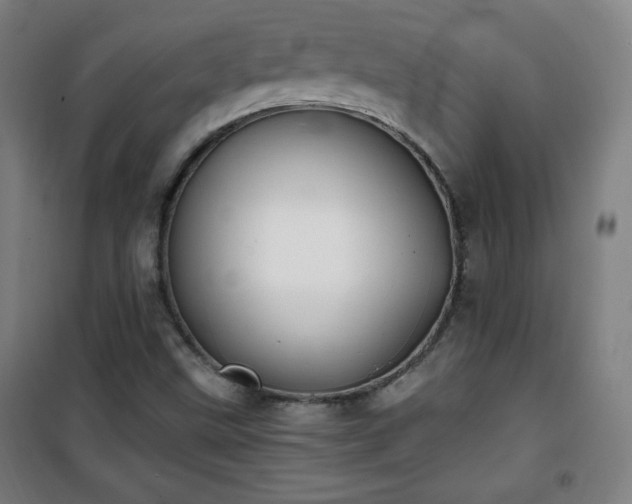 X0000101651499200807101219