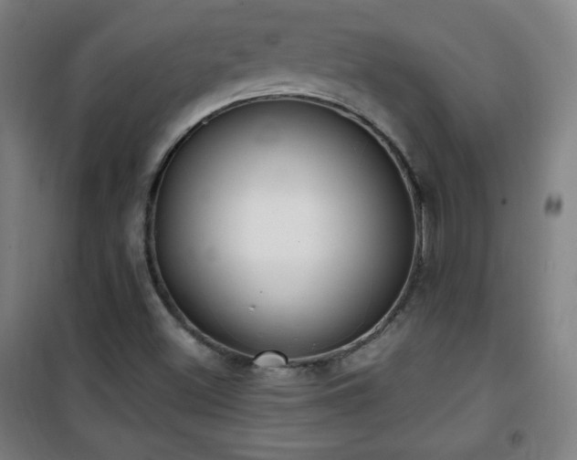 X0000101651500200807101219