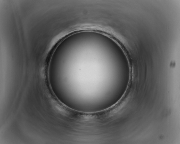 X0000101651501200807101219