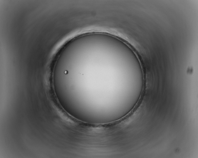 X0000101651502200807101219