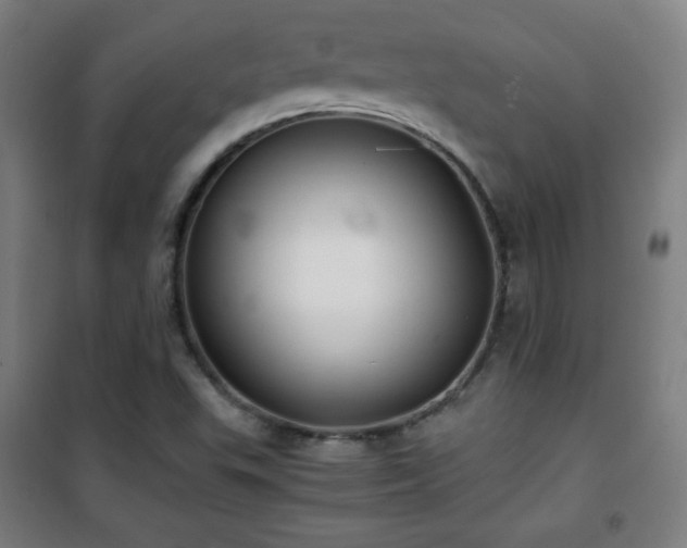 X0000101651503200807101219