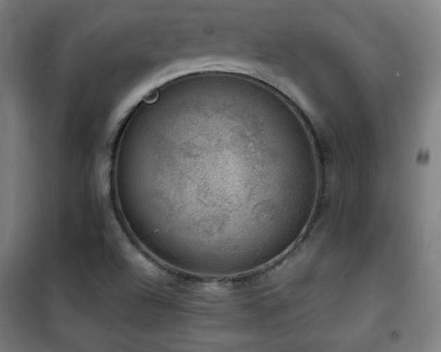 X0000101651504200807101219