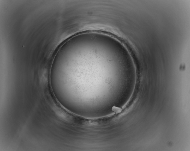 X0000101651505200807101219