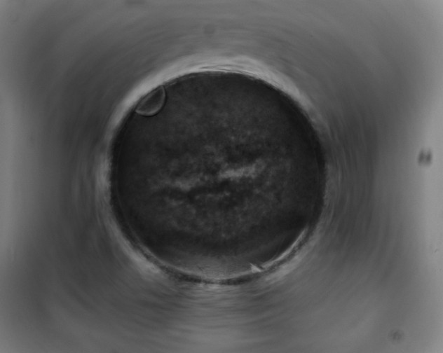 X0000101651506200807101219