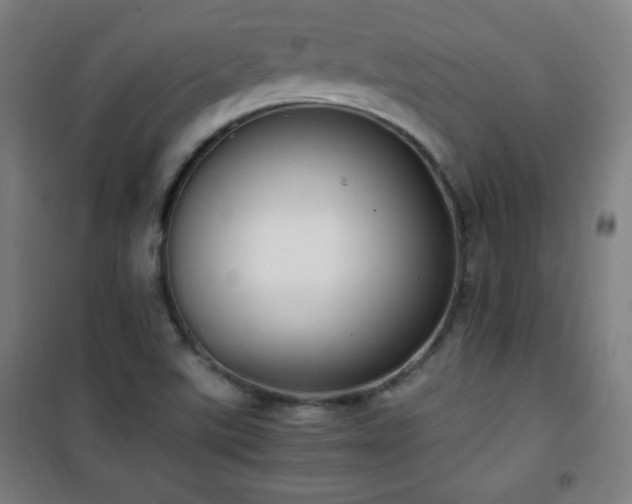 X0000101651507200807101219