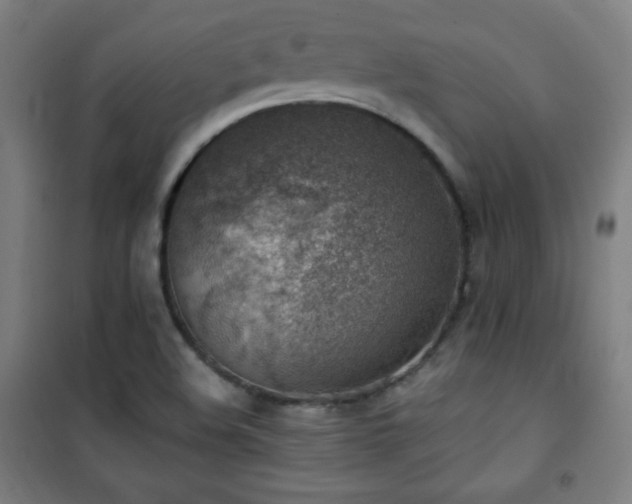 X0000101651508200807101219