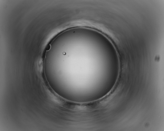X0000101651509200807101219