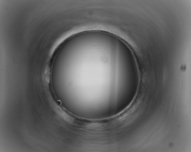 X0000101651510200807101219