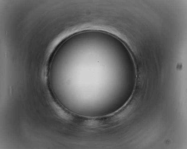 X0000101651511200807101219
