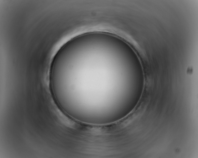 X0000101651512200807101219