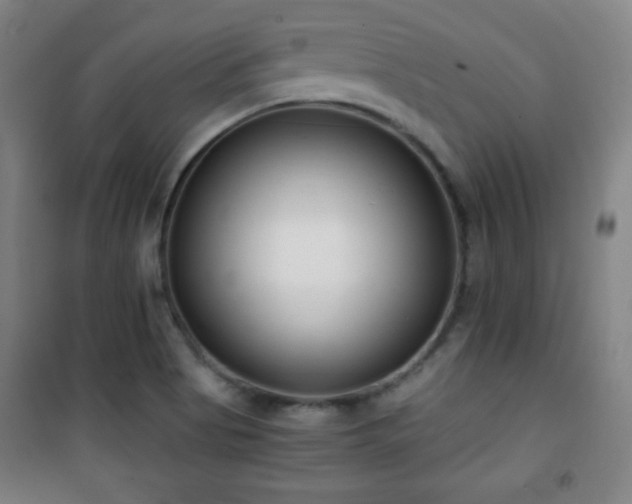 X0000101651513200807101219