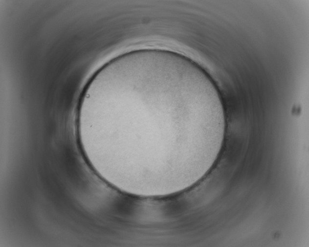 X0000101651514200807101219