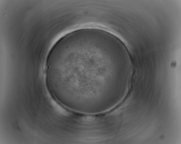 X0000101651515200807101219