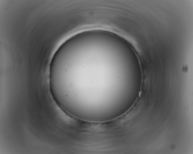 X0000101651516200807101219